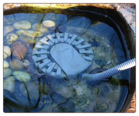 removing the heater readies this bird bath for spring