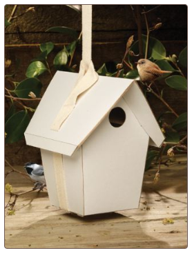 The Totally Green Birdhouse Kit