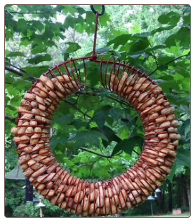 Fun wreath peanut bird feeder for whole peanuts