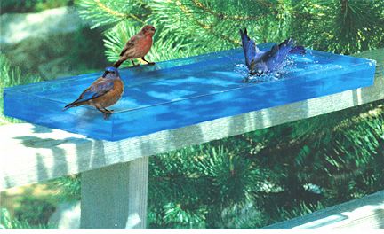 cool deck-mount baths that convert to heated bird baths