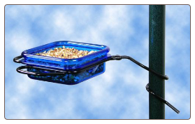 using a dish type mealworm feeder tends to create a free-for-all for wild birds