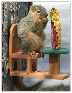 fun table and chair squirrel feeders are now in recycled plastic