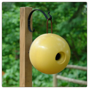 this Globe home is part of the mango tree wood birdhouses collection