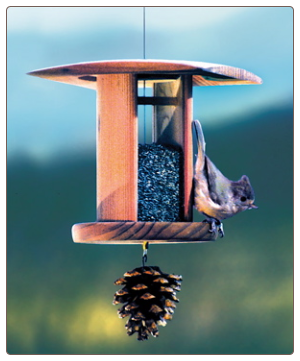 this nyjer feeder has a pinecone attached for adding suet