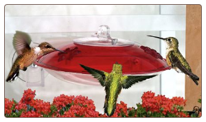 this window hummingbird feeder doubles as a seed feeder in winter months