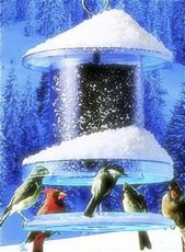 The All Weather is better thanany tube bird feeder for winter