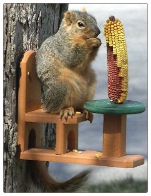 recycled plastic squirrel feeders last a litetime