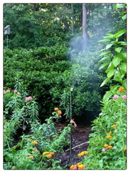 butterfly feeders can be nectar flowers, add a leaf mister and watch the show