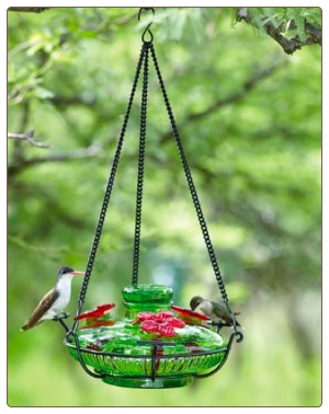 use an ant moat with your hummingbird feeder for a hassle-free experience