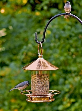 classic perch feeder really isn't a glass bird feeder