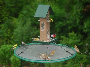 Promote healthier bird populations in your yard with seed catchers