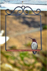 Place their swing near your window hummingbird feeder