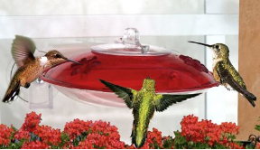 Entice more sprites to your window hummingbird feeder with Pop's Swing and Hummer Helper Nesting Material