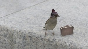 you can attract birds in the city too with decorative bird houses