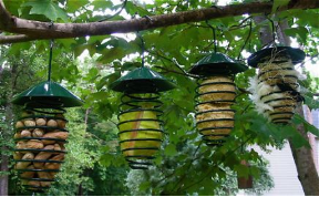 Suet and Fruit Feeders often work well for nesting materials too