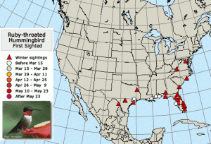 Hummingbird Migration Map-First Sightings