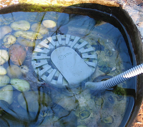 Stand alone bird bath heaters create a winter oasis for wild birds