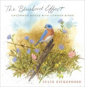 The Bluebird Effect by Julie Zickefoose