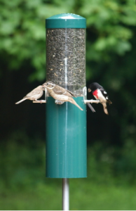 High quaity Tube Bird Feeder features a built-in baffle to deter pesky squirrels