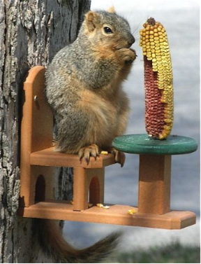 Table and Chair Squirrel Feeders go green in recycled plastic