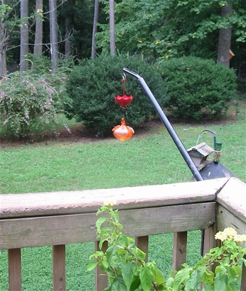 a bird feeder bracket that swivels is more user-friendly