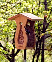 Handcrafted, Curved Screen Peanut Feeder offers all-over feeding space