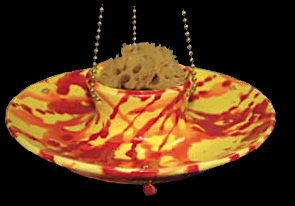 vibrant butterfly feeder with sea sponge is perfect for offering both nectar and fruit.