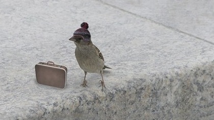 Although migratory birds have moved on, resident birds benefit from roosting spots provided by birdhouse kits.