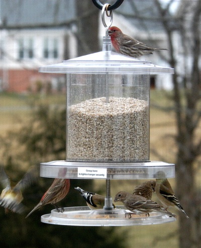 Innovative design on these hopper bird feeders renders them absolutely weather-proof