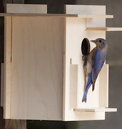 Start birdhouse kit projects now for the first scout's approval