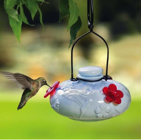 This one's by Parasol, but Audubon welcomes bird brain hummingbird feeders for citizen science too!