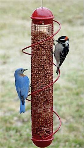 A cool variation on the tube feeder, perches are replaced by a spiral that allows more birds to perch and eat at once.