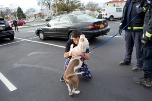 A happy reunion for some, but many animals still suffer effects of Hurricane Sandy