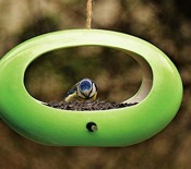 Fun ovals make great window bird feeders