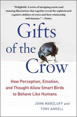 Gifts of the Crow Review