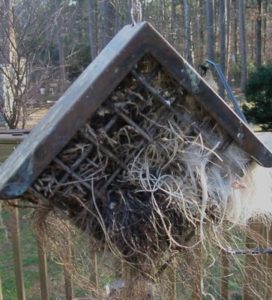 Offer nesting materials to encourage songbird residency in your edible birdhouse once the food's gone