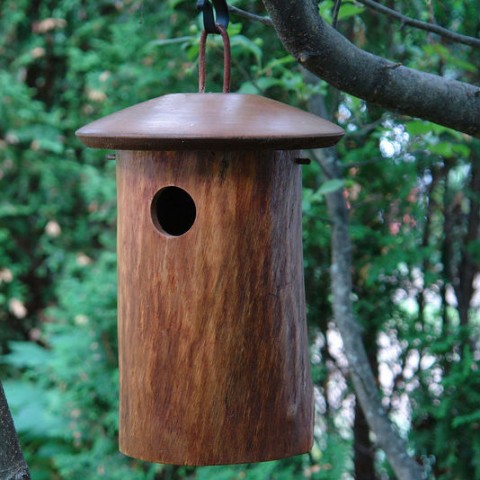 Mango Wood Natural Bluebird House is handcrafted and bluebird approved!