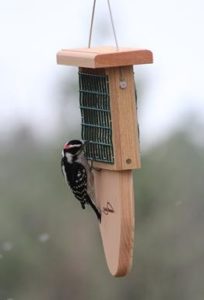 Tail Prop Suet Feeders are perfect wild bird feeders that leave no ground mess.