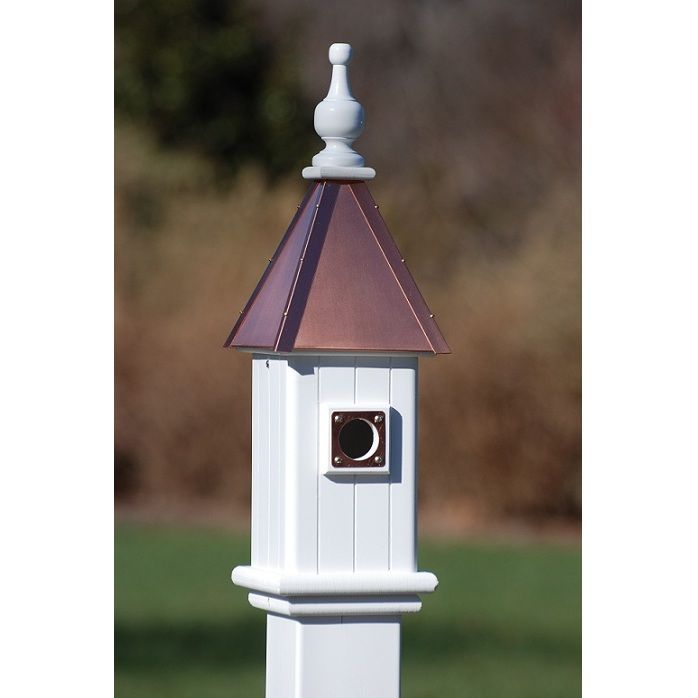 best to see that bluebirds, not house sparrows, are nesting in your bluebird houses