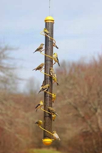 Sans perches and cool spiral make these thistle feeders dreamy for finches!