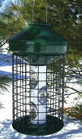 Large Capacity Squirrel Proof Bird Feeder means less refills... keeps squirrels out!