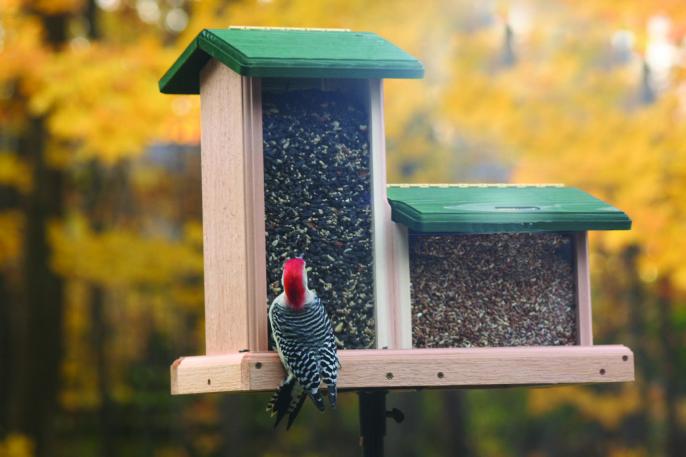 When talking hopper bird feeders - we like the large capacity, double style