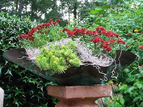 cool design of this piece lends itself to both birdbath & planter 