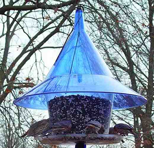 Feeders with a built-in squirrel baffle will deter pesky squirrels from the start!