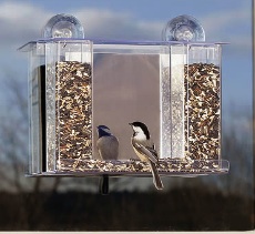 window bird feeders will entice little flyers even up on apartment balconies