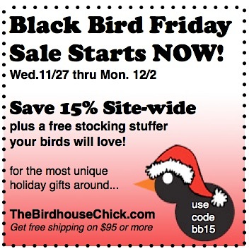 Black Friday Sale