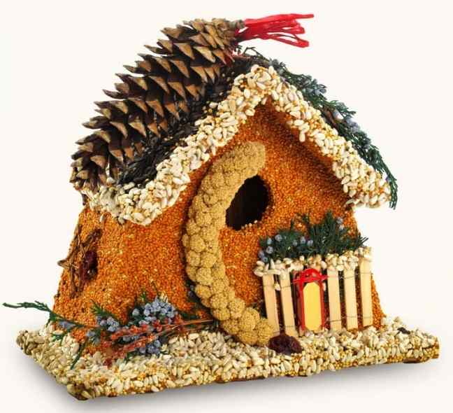 Edible Birdhouse keeps on giving