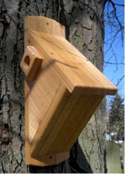 The Cedar Side Entry Birdhouse will entice nuthatches, chickeadees, downy woodpeckers and more!