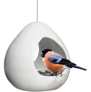 a glass bird feeder offers cleaner feeding