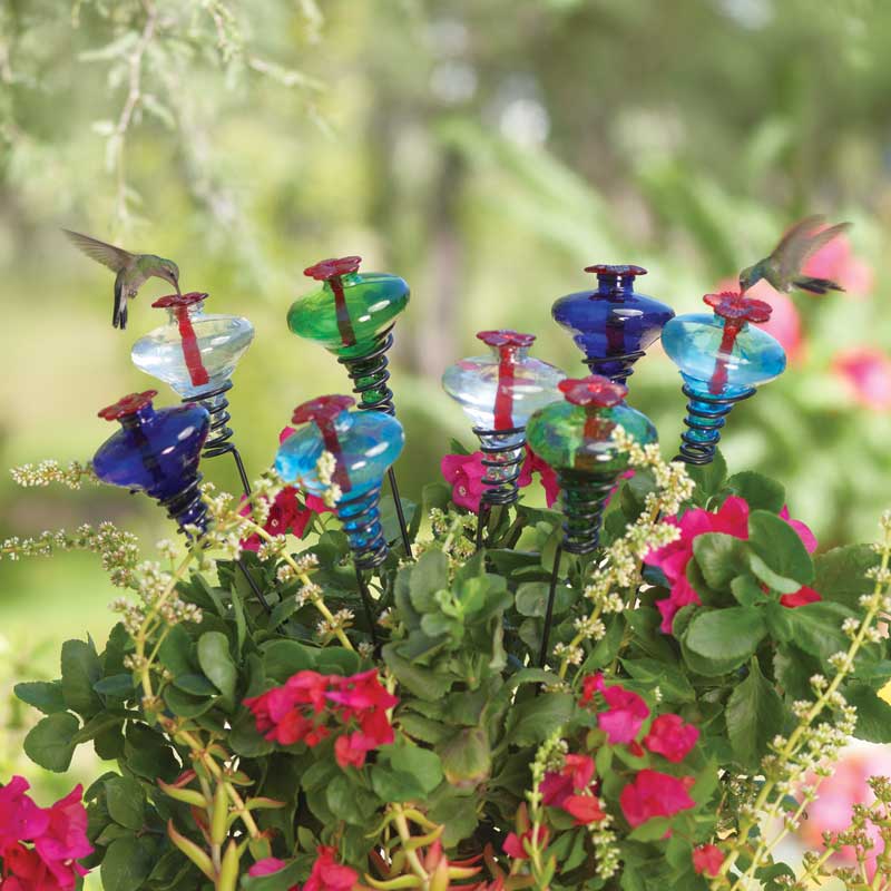 Mini-Blossom Staked Hummingbird feeders